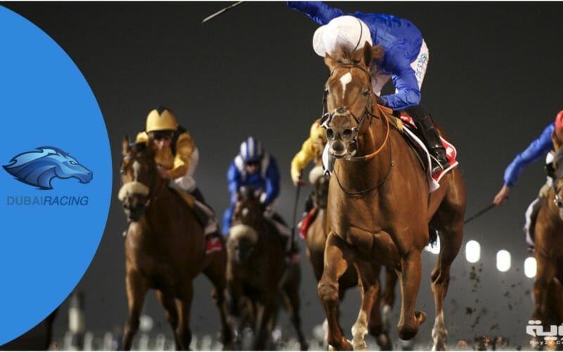 تردد قناة دبي ريسنج نايل سات Dubai Racing 2022 أقوى قنوات سباق الخيل لعشاق الفروسية