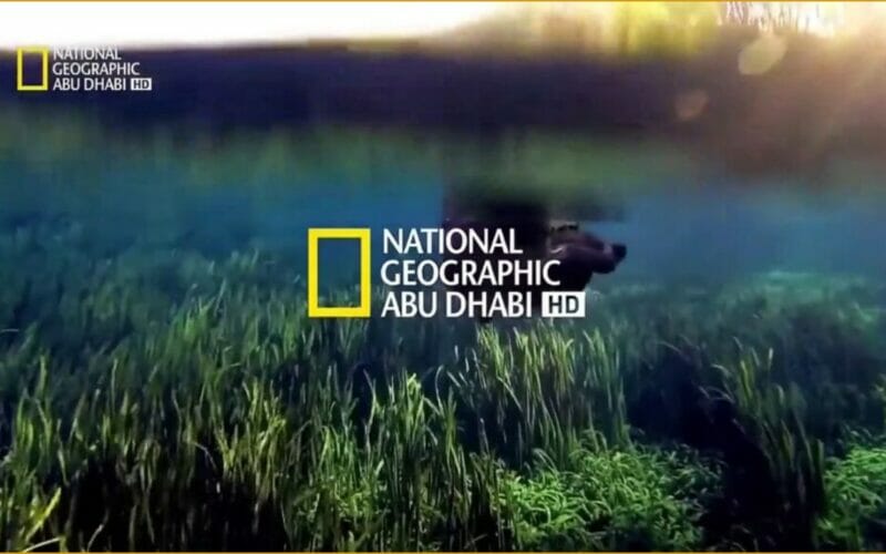 قنوات الأفلام الوثائقية.. استقبل تردد قناة ناشيونال جيوغرافيك 2023 National Geographic HD إشارة قوية