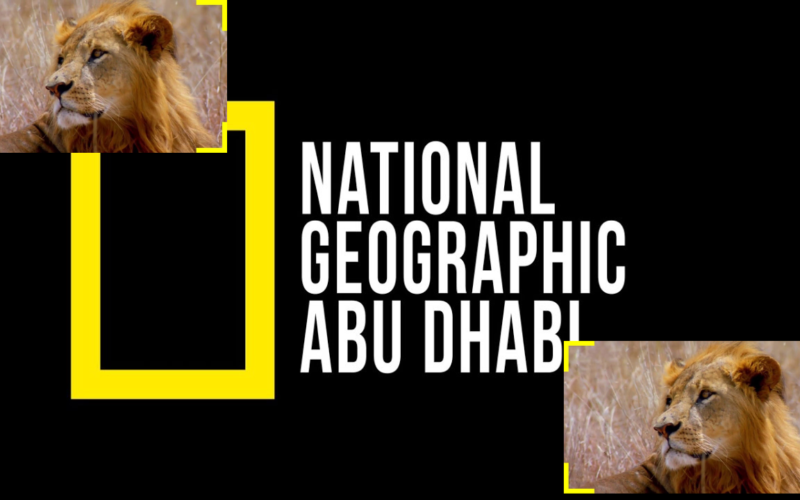 عالم الحيوان.. تردد قناة ناشيونال جيوغرافيك hd الجديد 2024 National Geographic نايل سات