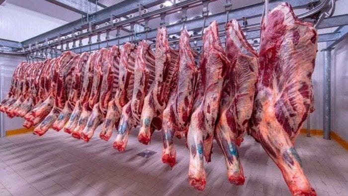 شعبة القصابين تتوقع انخفاض أسعار اللحوم في غضون شهر