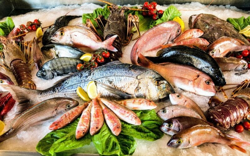 بعد المقاطعة.. انخفاض أسعار الأسماك اليوم الثلاثاء في سوق العبور