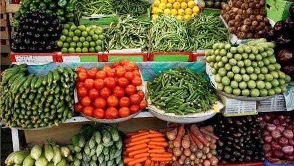 البطاطس بـ 15.35 جنيه.. أسعار الخضروات اليوم الأربعاء 24 أبريل 2024