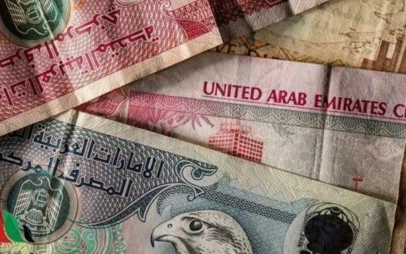 سعر الدرهم الإماراتي مقابل الجنيه المصري اليوم الثلاثاء 16 أبريل 2024