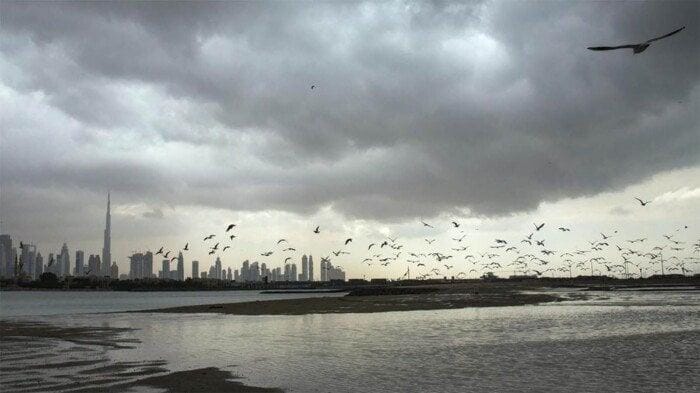 بعد الأمطار الغزيرة أمس.. تعرف على مواعيد رحلات مطار دبي