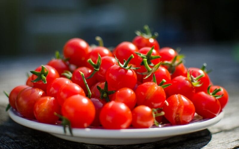 كيف تعرف أنك تعاني من حساسية الطماطم؟