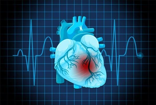 تنشيط الدورة الدموية .. خطوات أساسية لصحة قلبية أفضل