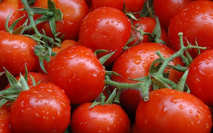 فوائد الطماطم للمعدة.. ستدهشك