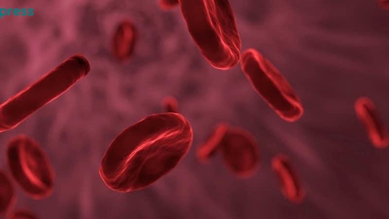 إنزيمات تحوّل فصائل الدم إلى الفصيلة الأولى … تعرف عليها