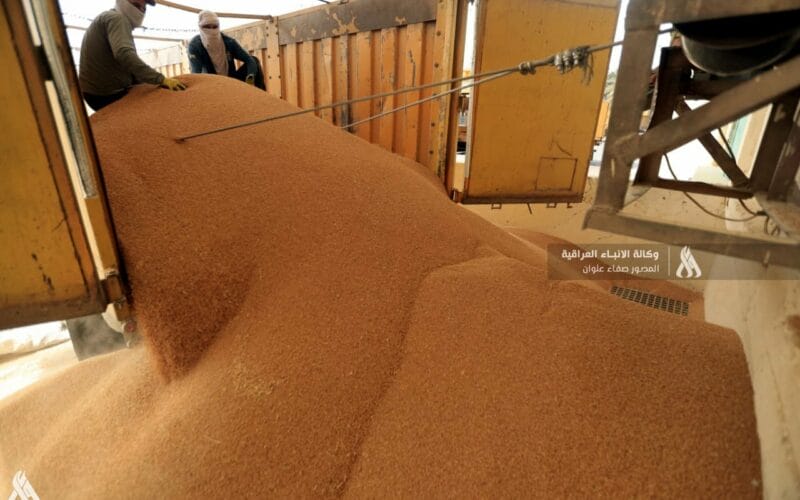 خطة لتسويق أكثر من مليون و600 ألف طن من الحنطة » وكالة الأنباء العراقية