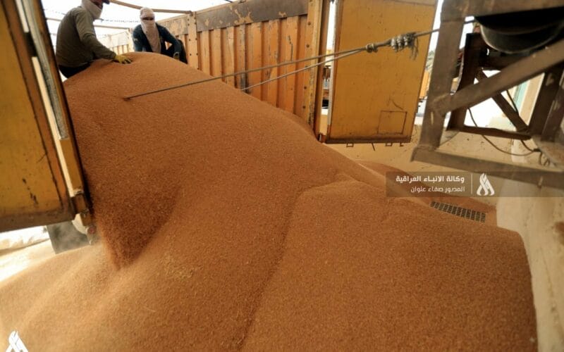 فائض الحنطة سيستثمر كخزين إستراتيجي ووطني » وكالة الأنباء العراقية