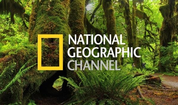 استمتع بمشاهدة برامج تردد قناة ناشيونال جيوغرافيك HD عالم الحيوان واكتشف أسرارًا جديدة عن عالم الطبيعة!