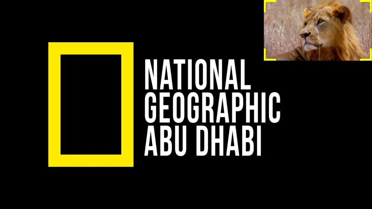 نافذة أسرار الكون.. نزل تردد قناة ناشيونال جيوغرافيك 2025 HD على التلفاز وتابع برامج الطبيعة الخلابة وعالم الحيوان