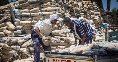 أسعار الأسمنت ليوم الخميس 26 يونيو 2025: ما هو سعر الطن?