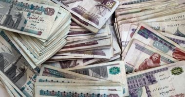 استثمارات صناديق التأمين الخاصة تصل إلى 8.7 مليار جنيه في 4 أشهر من 2025