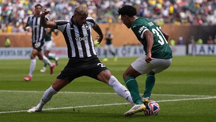 بالميراس يتجاوز بوتافوجو ويضمن مكانه في ربع نهائي كأس العالم للأندية 2025
