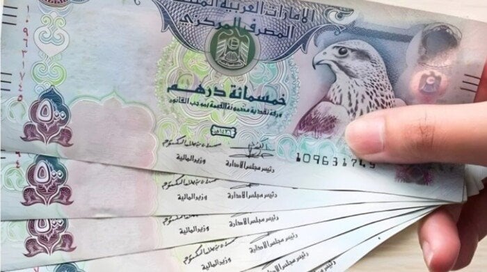 تحديث أسعار صرف الدرهم الإماراتي مقابل الجنيه المصري اليوم 23 يونيو 2025