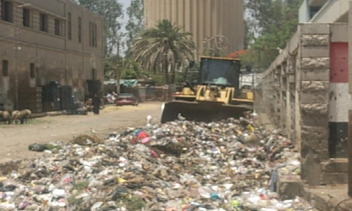 تحويل النفايات إلى جمال: مشروع أحواض الزهور في الفيوم