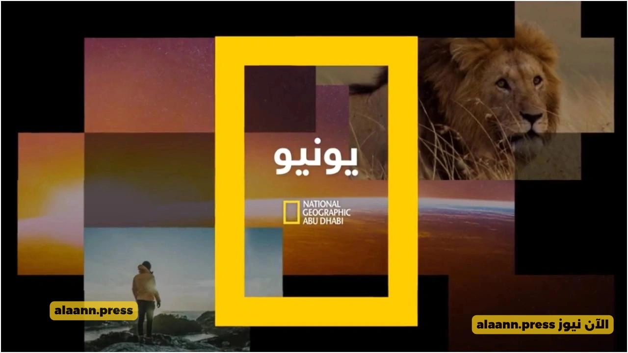 اكتشف الطبيعة.. أحدث تردد قناة ناشيونال جيوغرافيك HD على نايل سات 2025 وتابع اقوى البرامج الوثائقية وعالم الحيوان
