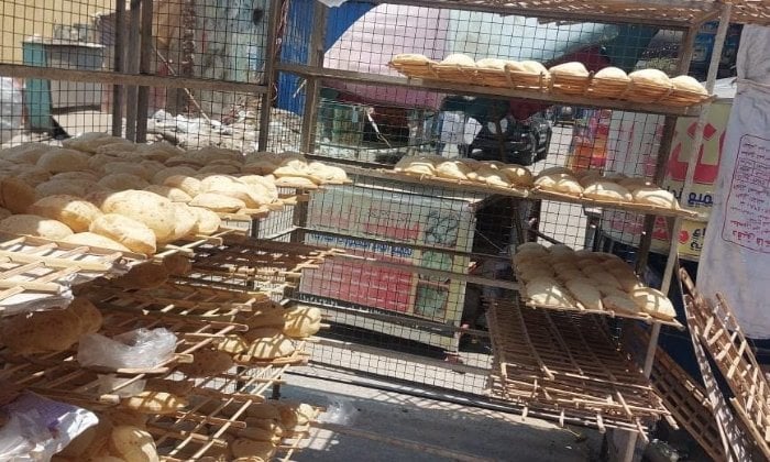 حملات رقابية في القليوبية تكشف 330 مخالفة في الأسواق