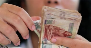 دعوة لـ ‘ممفيس للأدوية’ لاستثمار حسابات الشركة البنكية