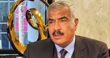 «طلعت مصطفى» تتربع على عرش أقوى الشركات المصرية وتنال جائزة المطور العقاري للعام 2025.