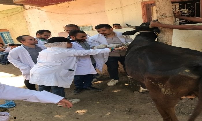 قافلة بيطرية شاملة من سوهاج تعزز حياة كريمة في قرية تونس