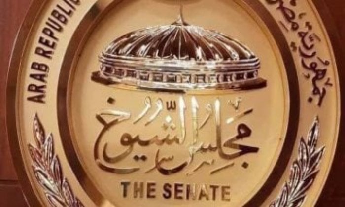 أولى خطوات انتخابات الشيوخ بالأقصر: 4 مرشحين يتقدمون بأوراقهم