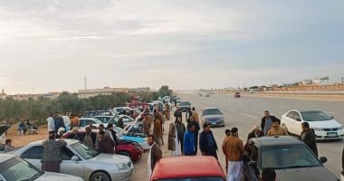 تقرير جديد يكشف عن ارتفاع ملحوظ في تراخيص السيارات بمصر خلال مايو 2025