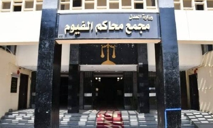 سباق انتخابات مجلس الشيوخ بالفيوم: 7 مرشحين يتنافسون