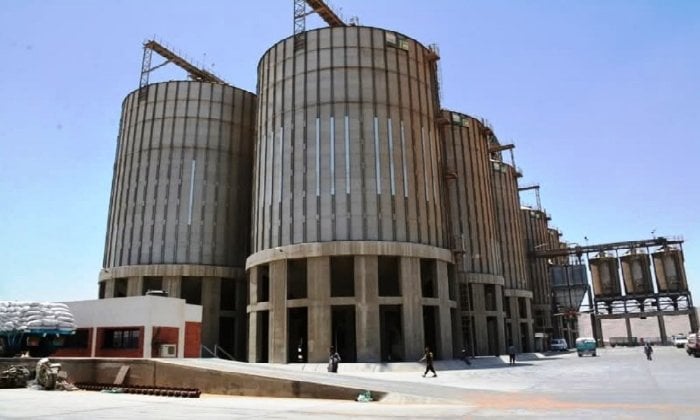 سوهاج تحقق إنجازاً جديداً في توريد القمح مع صرف 2.5 مليار جنيه للمزارعين