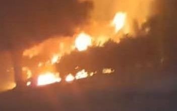 سيطرة الحماية المدنية على حريق ضخم في مزارع النخيل بالخانكة