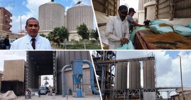 شركة مطاحن شرق الدلتا تفسر أسباب انخفاض الإيرادات وتأثير التكلفة التشغيلية على نتائج أعمالها