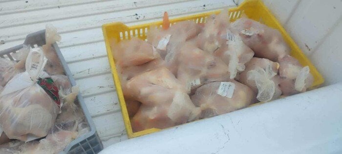 ضبط 40 كيلو دجاج فاسدة في مطعم معروف ببورسعيد