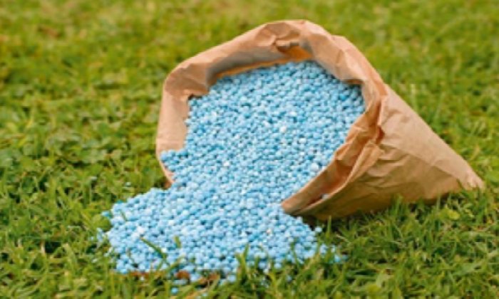 ضبط 5 أطنان من المحسنات الزراعية المجهولة قبل طرحها للبيع في البحيرة