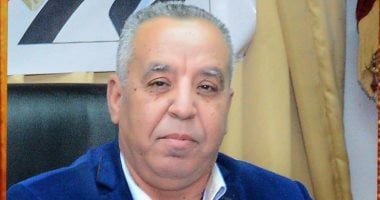 مدينة النور: كيف يمكن لشركة نيازا استعادة مكانتها في سوق الإضاءة من خلال التحول الرقمي والاستدامة البيئية؟