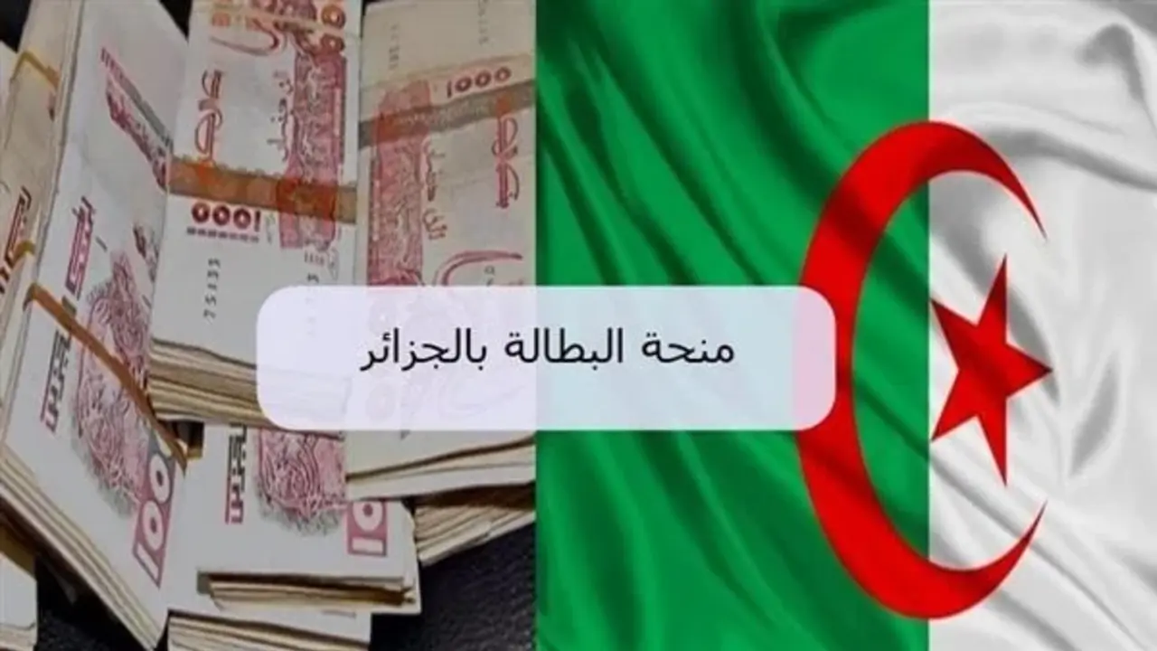 رابط تسجيلات منحة البطالة في الجزائر 2025 بالخطوات minha.anem.dz وشروط الترشح