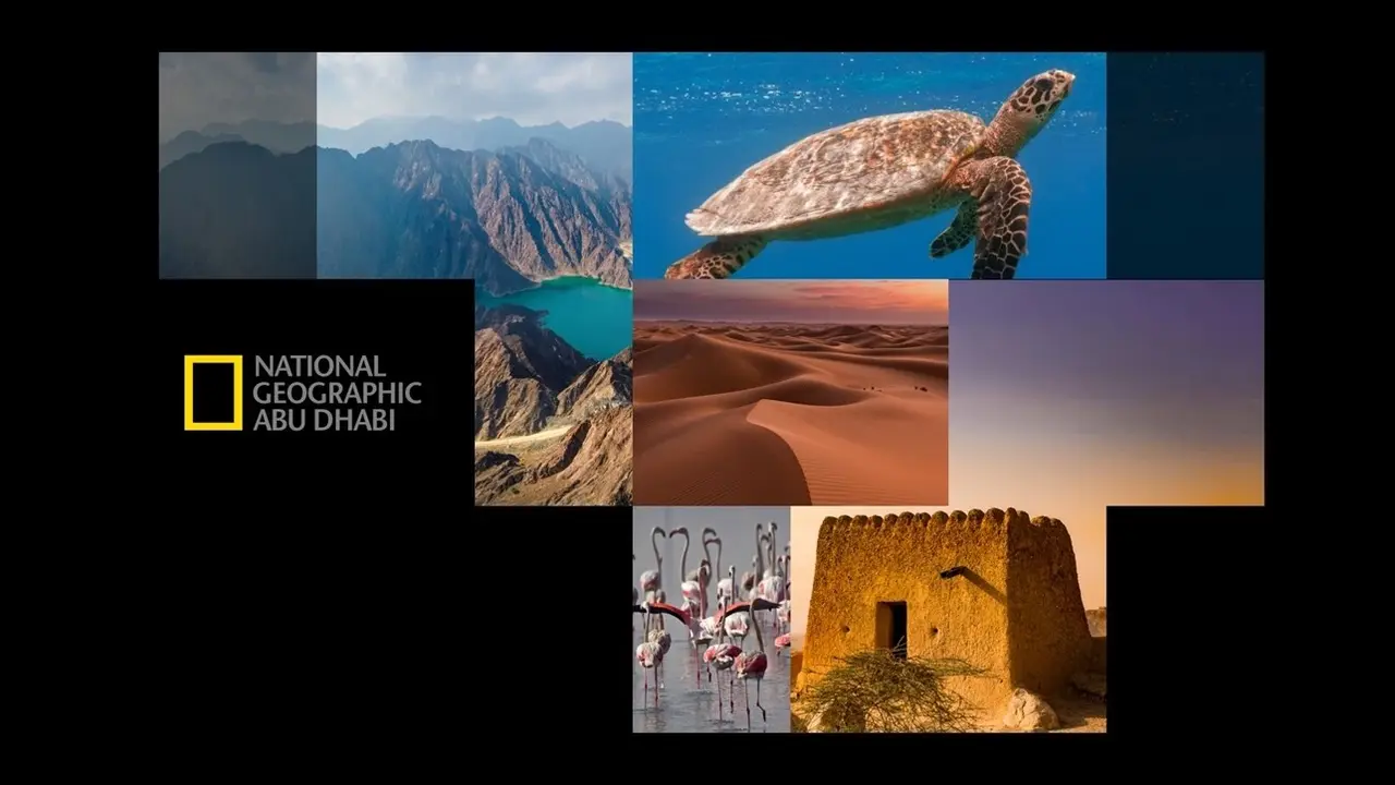 كنوز الجزيرة العربية المفقودة.. نزل تردد قناة ناشيونال جيوغرافيك أبو ظبي 2025 واستكشف العالم من بيتك بأعلى جودة HD