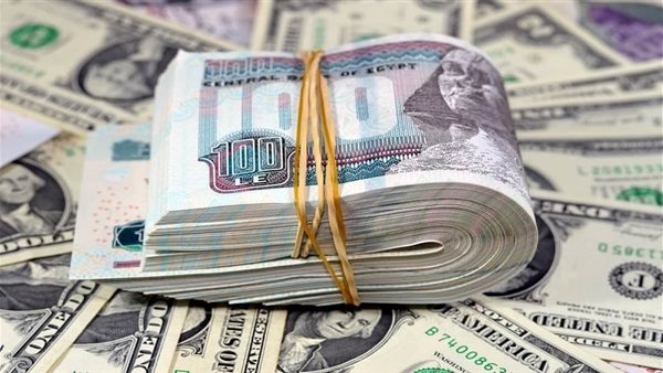 «استقرار سعر الدولار عند 48.25 في بداية تعاملات الثلاثاء»