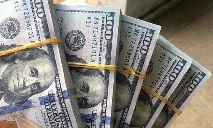 «استقرار أسعار الدولار في البنوك المصرية خلال تعاملات اليوم»