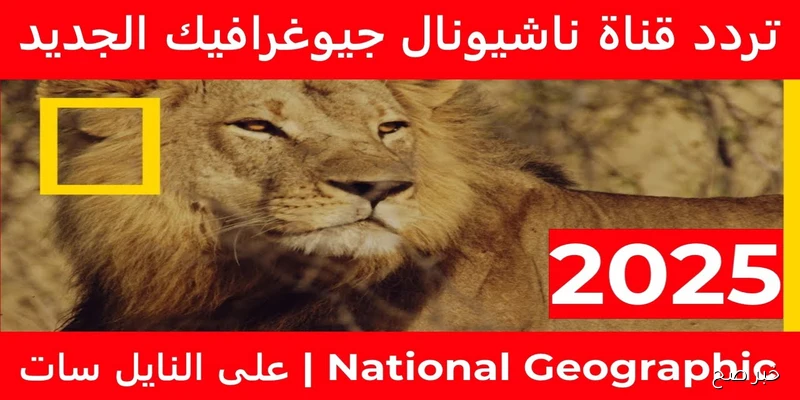 «استمتع بأفضل تجربة مشاهدة» ضبط تردد قناة ناشيونال جيوغرافيك 2025 لمتابعة أروع البرامج العلمية والطبيعية