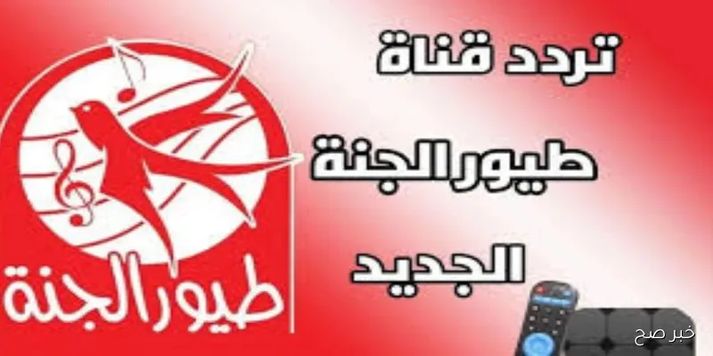 «اكتشف كيفية ضبط تردد قناة طيور الجنة 2025 للاستمتاع بمحتوى ترفيهي مميز للأطفال»