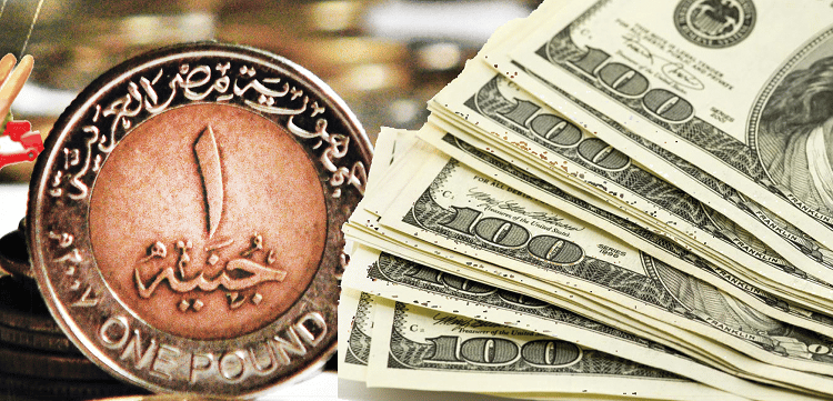 «أسعار الدولار أمام الجنيه المصري في السوق اليوم الأحد 14 سبتمبر 2025»